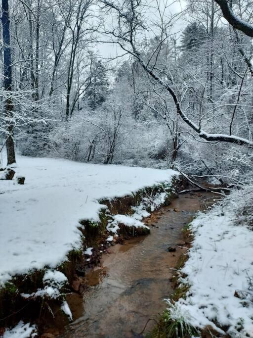 Mountain Cabin In Woods 3 Minutes To Helen #13 المظهر الخارجي الصورة