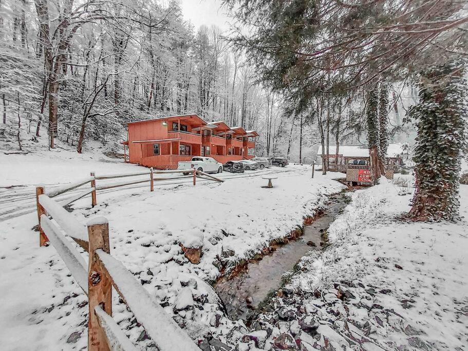 Mountain Cabin In Woods 3 Minutes To Helen #13 المظهر الخارجي الصورة